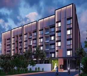 Oakstone SN Celeste