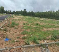 Odion The Woods Of East Phase 7 Featured Image