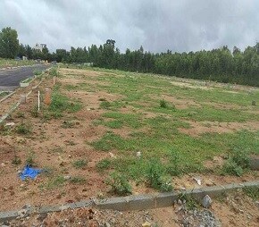 Odion The Woods Of East Phase 7, Sarjapur Road, Bangalore