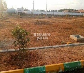 oraiyan-golden-paradise