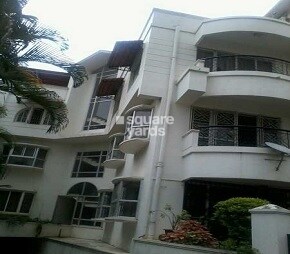 Orchid Miltonia Apartment