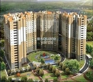 Ozone Evergreens Video