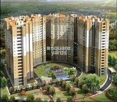 Ozone Evergreens Featured Image