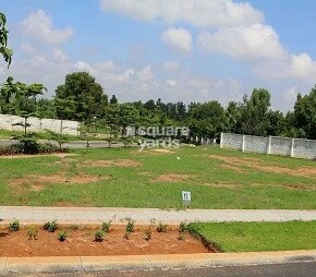 Ozone KNS Oasis