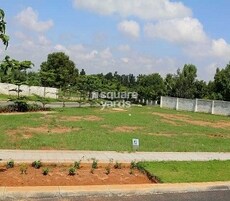 Ozone KNS Oasis Featured Image