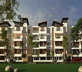 Ozone Urbana Aura