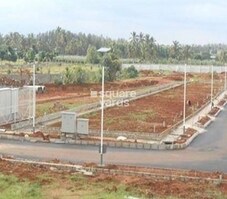 Ozone Urbana Meadows Featured Image