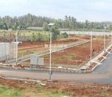 Ozone Urbana Meadows Featured Image