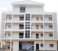 Ozone Whites Featured Image