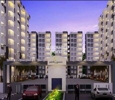 Palm Groves Featured Image