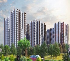 Pavani Mirabilia Featured Image