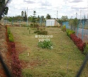 Pentagon City Cover Image