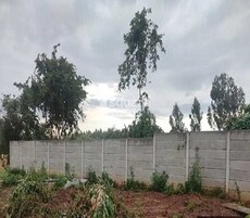 Pioneer East Avvenue Featured Image