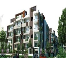 Pioneer Sun Blossom Featured Image