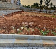 Pionier Central Avenuue Video