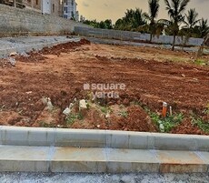 Pionier Central Avenuue Featured Image