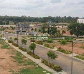 tn pionier gardeniaa project flagship1