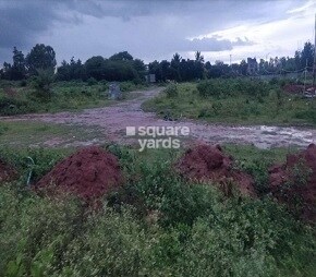 Pionier Orchard Avenue Featured Image