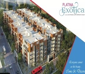 Platina Exotica