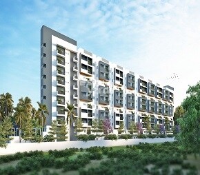 Platinum East Woods