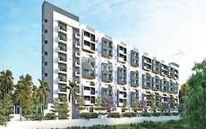 Platinum East Woods Featured Image