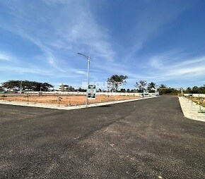PMS Lake View