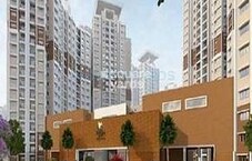 Prestige Birchwood Featured Image