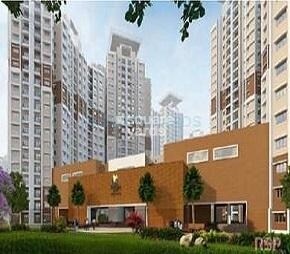 Prestige Birchwood