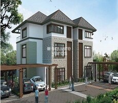 Prestige Bougainvillea Featured Image