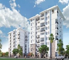 Prestige Dolce Vita Featured Image