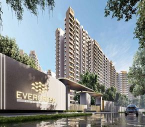 Prestige Evergreen Featured Image
