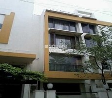 Prestige Orchid Featured Image