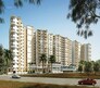 Prestige Pine Wood Flagship Image