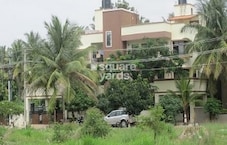 Prestige Whistling Palms Featured Image