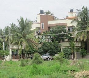 Prestige Whistling Palms