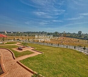 Pride Green Meadows