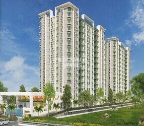 Pride Palatia