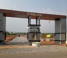 Prime Green Avenue Featured Image