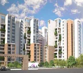 Prisha Orchids Featured Image