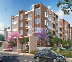 Pristine Grove Featured Image