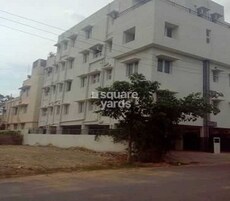 Pristine Silver Oak Featured Image