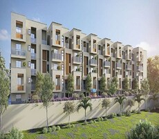 Prithvi Desire Tree Featured Image