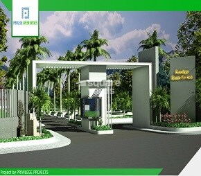 Privilege Green Groves