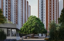 Provident Botanico Featured Image