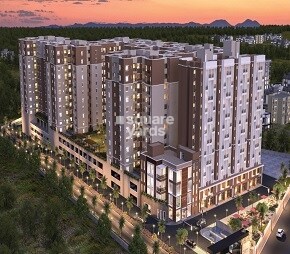 Provident Capella Featured Image