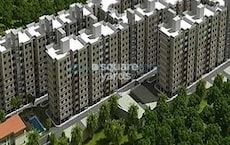 Provident Harmony Featured Image