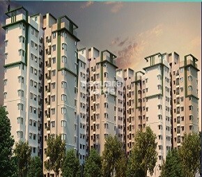 Provident Sundeck