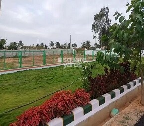 prutvi-pragathi-woods