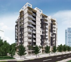 Purple Habiqo Featured Image