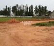 Purva Palm Greens